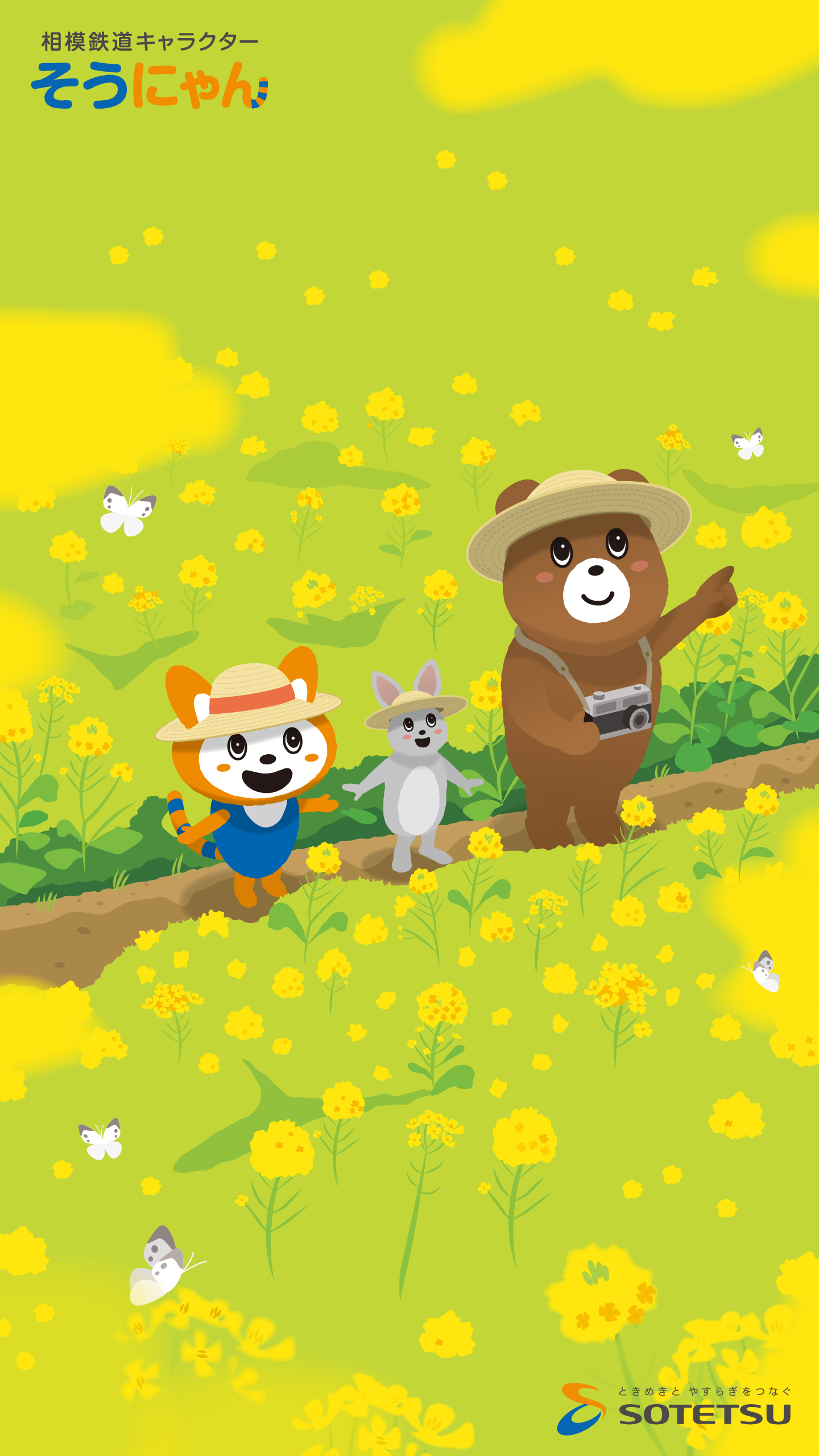 1440×2560（スマホ向け）