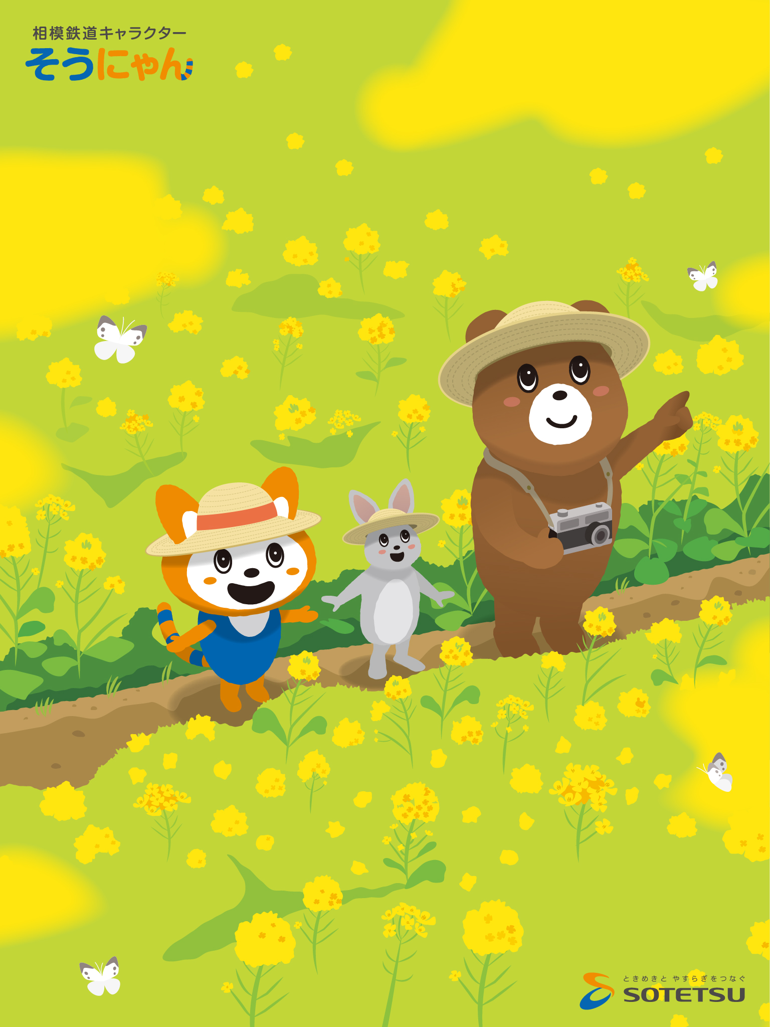 1536×2048（タブレット向け）